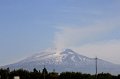 IMG_5008