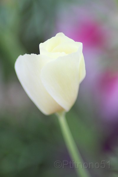 IMG_5902.JPG