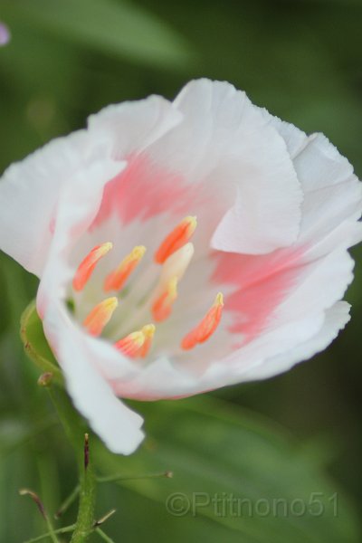 IMG_5908.JPG