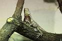 IMG_3054_GF