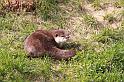 IMG_3091_GF